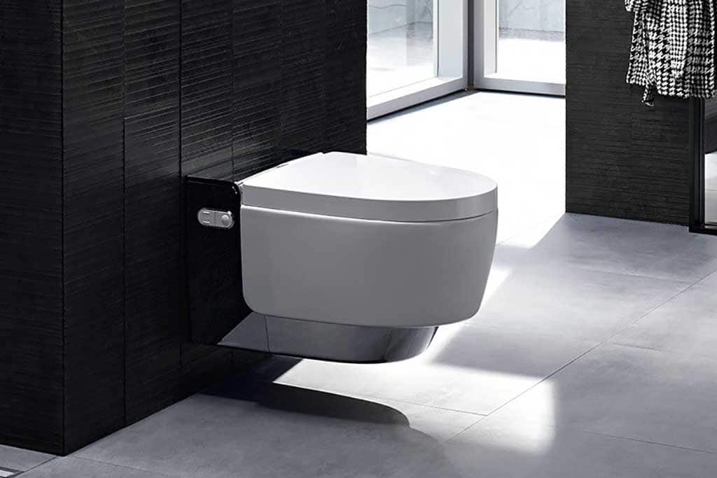 Geberit AquaClean Mera